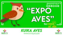 “Expo Aves”