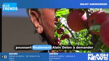 Les raisons du silence d'Alain Delon enfin dévoilées : la plainte contre sa compagne dévoilée !