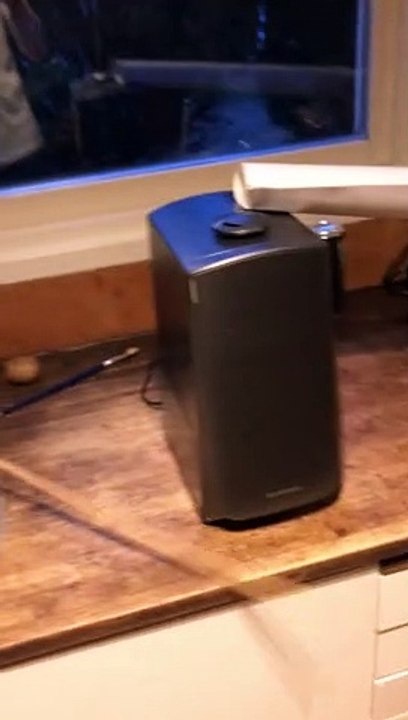 Rube Goldberg Machine Feeds Parrot