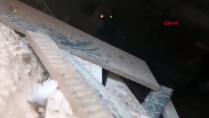 İnegöl'de sokak köpeği çocuğa saldırdı