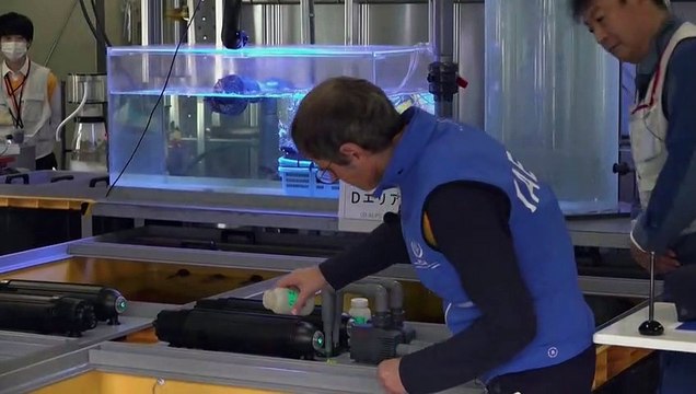 OIEA trata de calmar temores por vertido de agua de central nuclear de Fukushima