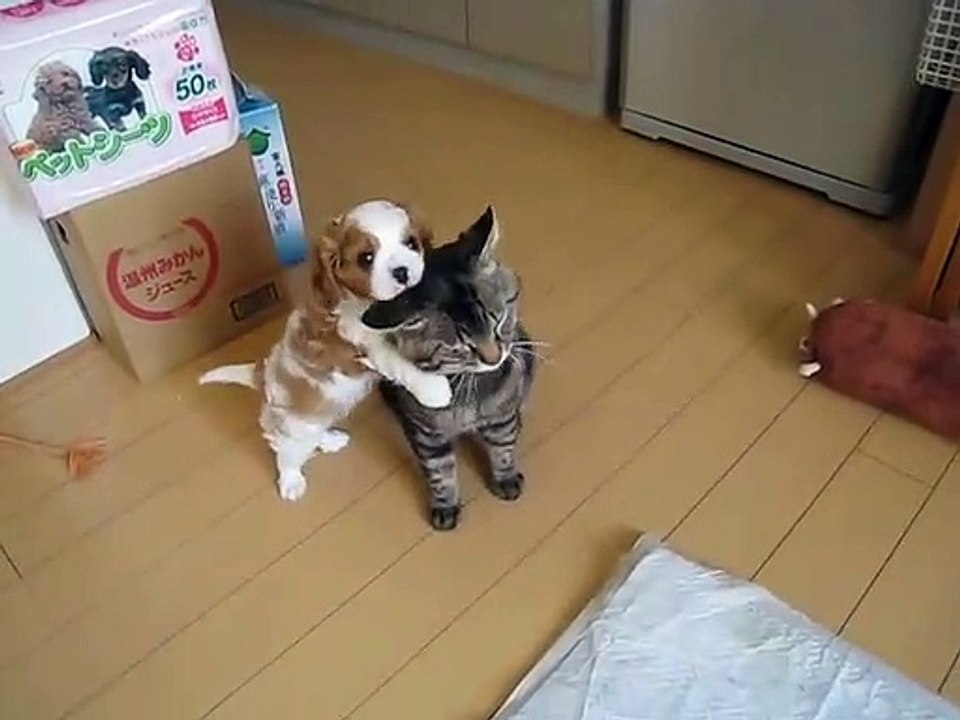 かんべんしてよぉ～(480P)