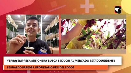 Yerba: empresa misionera busca seducir al mercado estadounidense