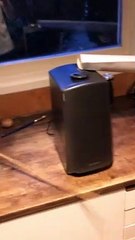 Rube Goldberg Machine Feeds Parrot