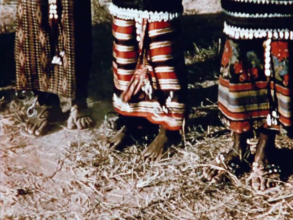 Henry Brandt en Afrique | movie | 2023 | Official Trailer