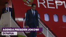 Tiba di Papua, Presiden Jokowi akan Resmikan Bandara Asmat dan Tinjau Ladang Jagung di Keerom
