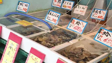 日 "방류 안전"...현지 어민들 반발 여전 / YTN