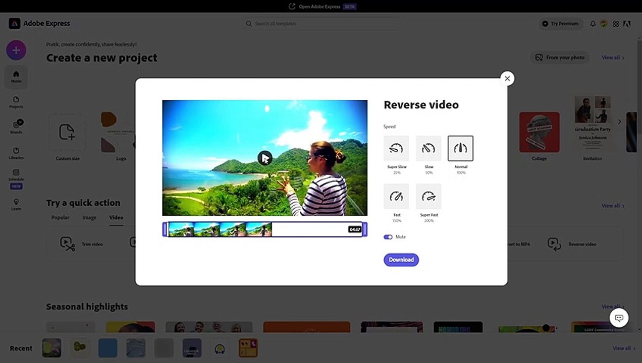 Adobe Express Course Section 44 Reverse Video