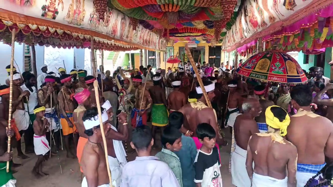 நூற்றாண்டு பாரம்பரியமிக்க மாடு மாலை தாண்டும் நிகழ்ச்சி; ஆயிரக்கணக்கான பக்தர்கள் பங்கேற்பு