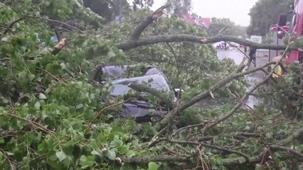 때아닌 '여름 폭풍'에 네덜란드 마비...더 뜨거워진 지구 / YTN