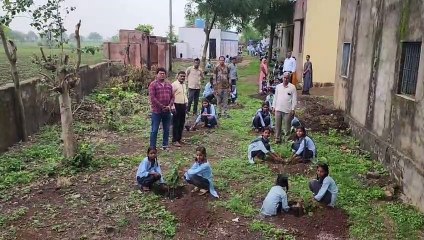 जिलेभर में पौधरोपण कर लिए सुरक्षा के संकल्प