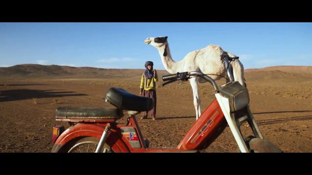 Zodi et Téhu, frères du désert Bande-annonce (FR)
