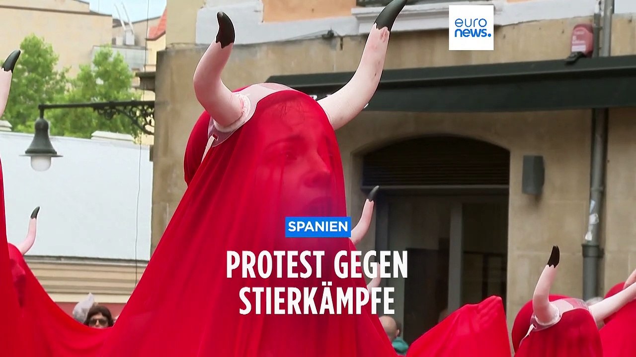 Pamplona: 'Gewalt und Tod für Stiere'