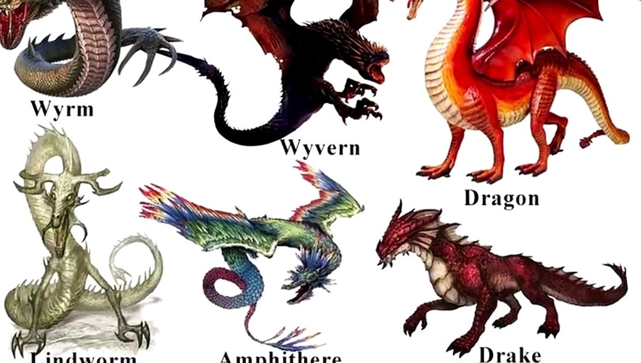 Chimäre vs Drake - Wer Würde Gewinnen