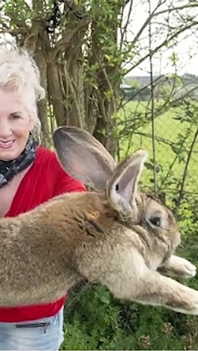 Tiere Die Viel Zu Groß Sind!