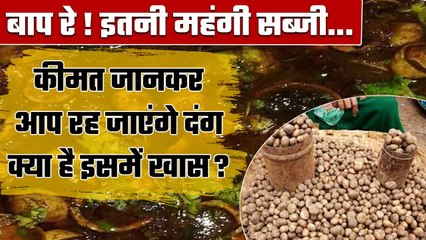 Chhattisgarh Famous Vegetable Boda: ये है सबसे Expensive सब्जी, कीमत उड़ा देगी होश | वनइंडिया