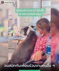 ฟ้ามีตา ! ตูบตื่นเช้าตามแม่ไปทำงานทุกวัน ล่าสุดชนะใจ ผอ. มีงานทำแล้ว