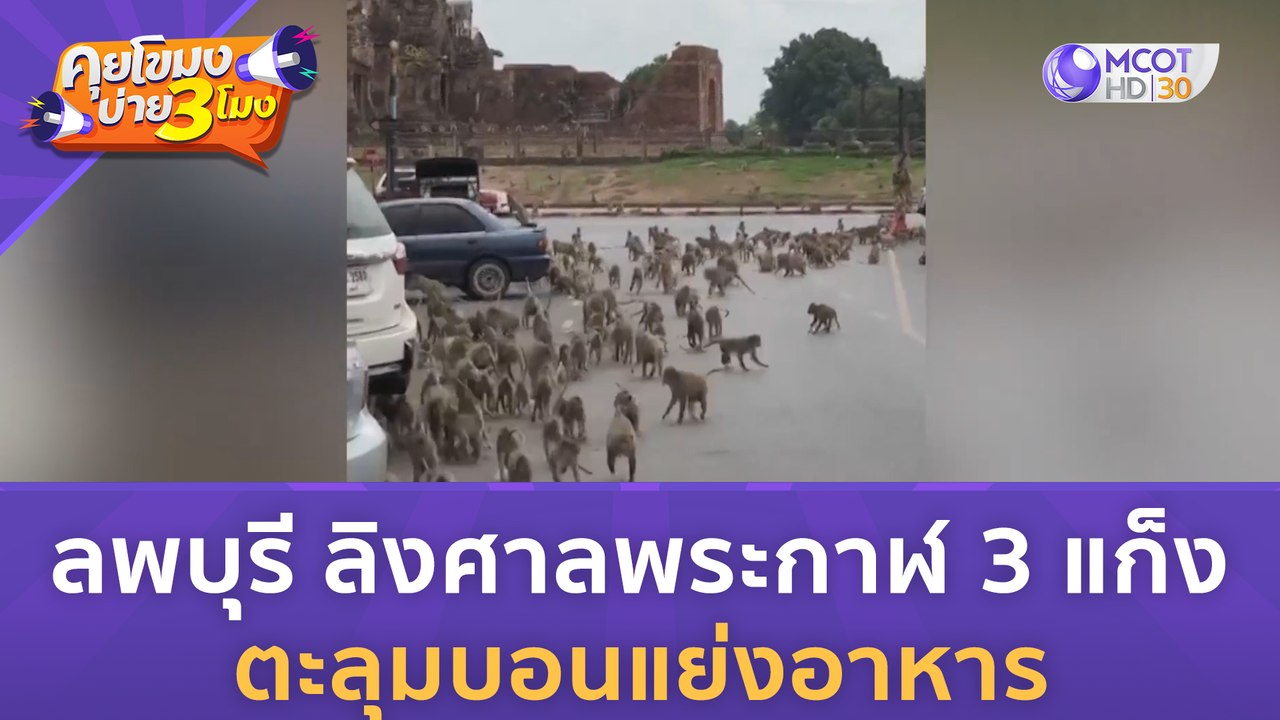 ลพบุรี ลิงศาลพระกาฬ 3 แก็ง ตะลุมบอนแย่วอาหาร (5 ก.ค. 66) | คุยโขมงบ่าย 3 โมง