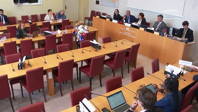 Commission des affaires étrangères : Examen de deux accords internationaux - Mercredi 5 juillet 2023