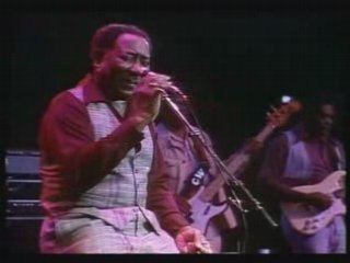 Muddy Waters - Mannish Boy - 1978