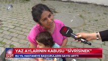 Kanal 7 Haber Saati - 5 Temmuz 2023