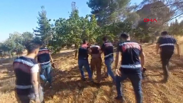 Cinayet şüphelisi, saklandığı fıstık bahçesinde yakalandı
