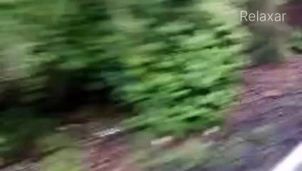 Natural Sceneries _ Save  Climate..