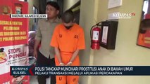 Polisi Tangkap Muncikari Prostitusi Anak Di Bawah Umur