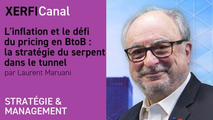 L'inflation et le défi du pricing en BtoB : la stratégie du serpent dans le tunnel [Laurent Maruani]