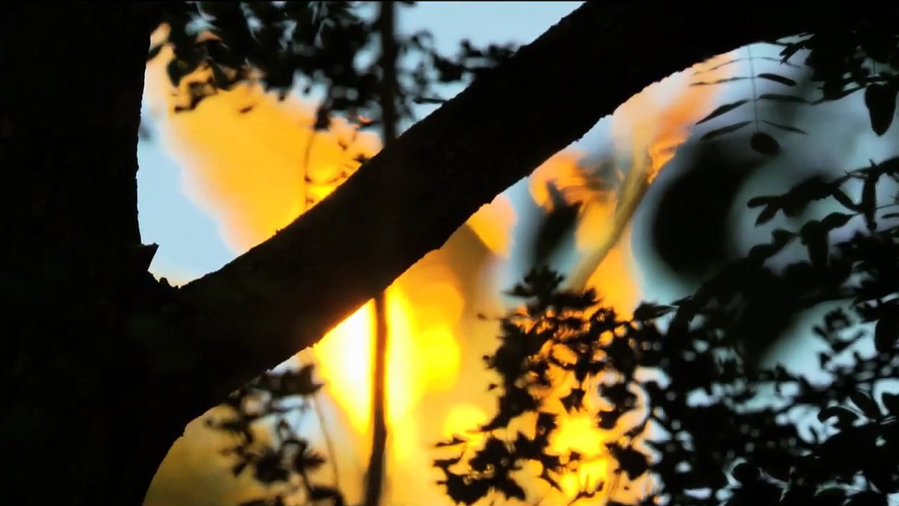 Wildes Berlin Bande-annonce (ES)