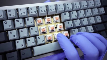 Custom Mechanical Keyboard With Holy Panda  Switches Unboxing