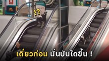 ตูบหาญกล้าก้าวลงบันไดเลื่อนทางขึ้น ทำนุดลุ้นหนัก.. วันนี้จะถึงไหม ?
