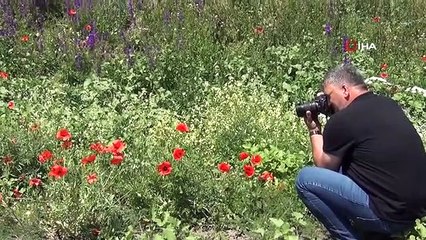 Kars'ta Renk Cümbüşü: Açan Çiçekler ve Gökkuşağı