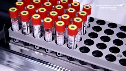 The blood sample journey at our Trust