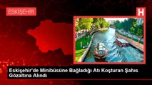 Eskişehir'de Minibüsüne Bağladığı Atı Koşturan Şahıs Gözaltına Alındı