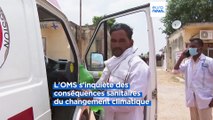 L'OMS s'inquiète des conséquences sanitaires du réchauffement climatique