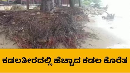 ಕಾರವಾರ : ಕಡಲ ಕೊರತೆ ; ಹೆಚ್ಚಿದ ಆತಂಕ