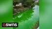 River in Japan turns bright GREEN after bath salt chemicals dumped into water