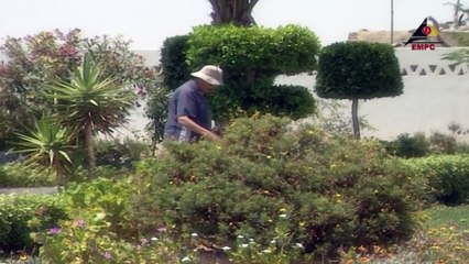 امانه ياليل ح1