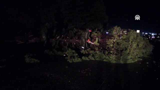 Manisa'nın Alaşehir İlçesinde Fırtına Nedeniyle Ağaçlar Devrildi