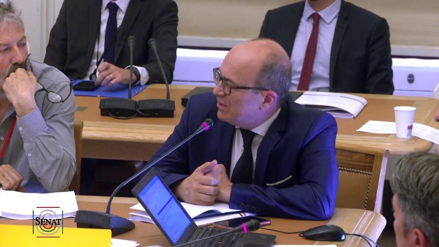 Commission d'enquête sur TikTok: pour le sénateur André Gattolin, TikTok est une entreprise politique avec vocation de capter des données personnelles