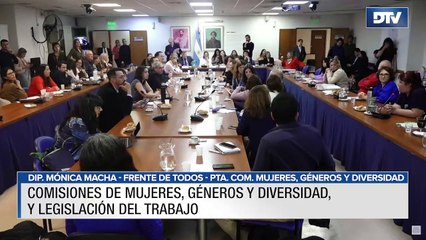 Diputados debatieron la ampliación de licencias maternales, paternales y parentales