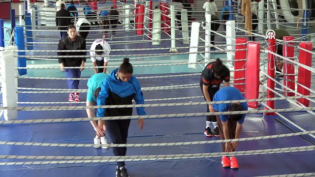 KASTAMONU - Yıldız Kadın Boks Milli Takımı kampa girdi
