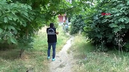 UNE FEMME ATTAQUÉE PAR UN CHIEN À ATASEHIR EST GRAVEMENT BLESSÉE