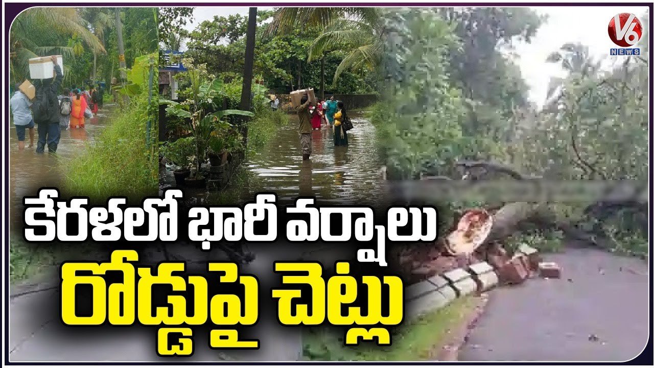 Kerala Rains _ Huge Tree Falls On Road _ V6 News - video Dailymotion