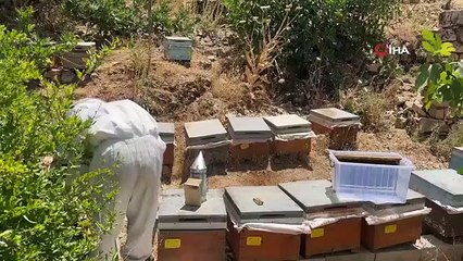 La récolte du miel a commencé dans la vallée de Gurs, connue pour sa beauté naturelle