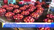Taiwan Ranks Its Top Mangos at International Mango Festival
