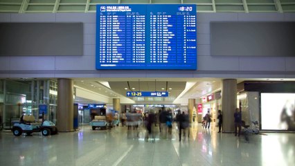 Seguros de viajes