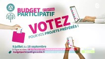 BUDGET PARTICIPATIF - Grenoble capitale mondiale du gant dans vos rues