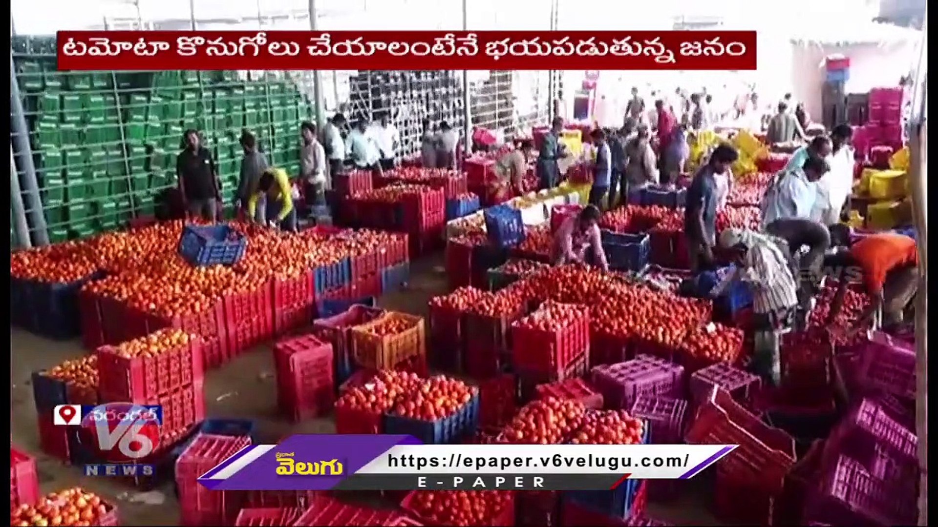 Bachelors Struggles Due To Vegetable Prices Hike _ V6 News